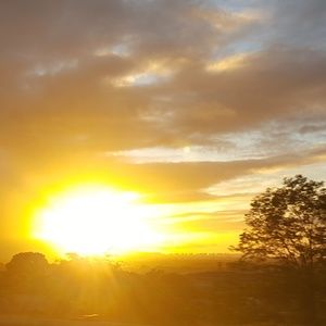 Meet your Posher, Aron